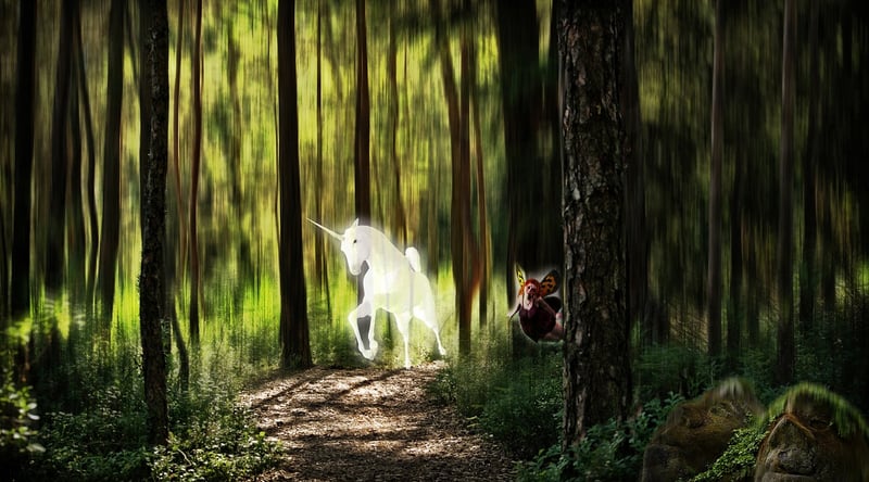 Whimsical Woodland Creatures